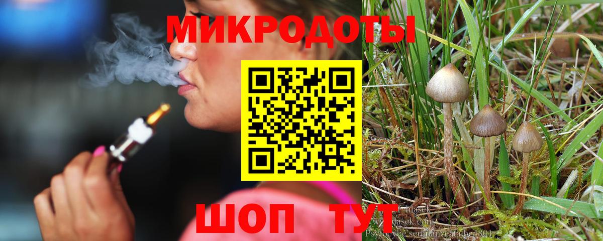 Псилоцибиновые грибы Psilocybe Кубинка