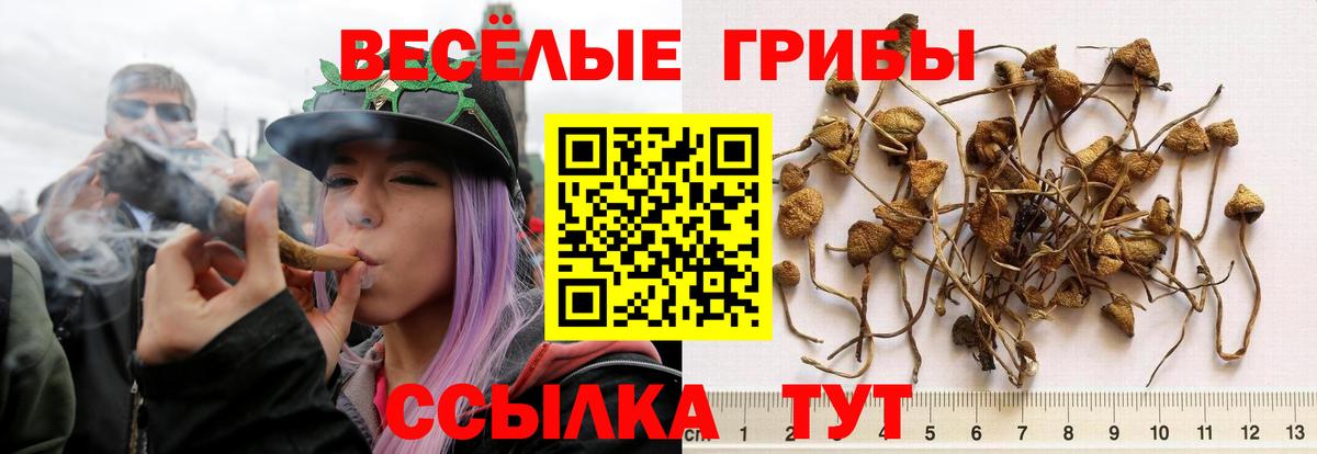Кубинка  Псилоцибиновые грибы прущие грибы  Вход с VPN 